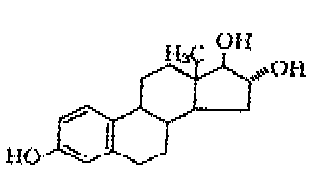 img1.gif