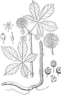 img1.jpg