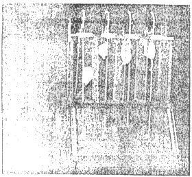 img1.jpg
