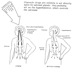 img1.jpg