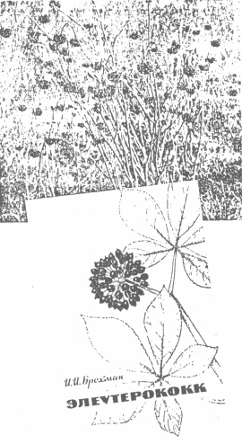 img1.jpg