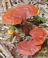 img2.jpg